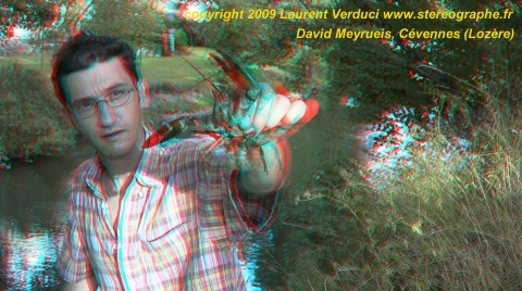 David Meyrueis Ecrevisse